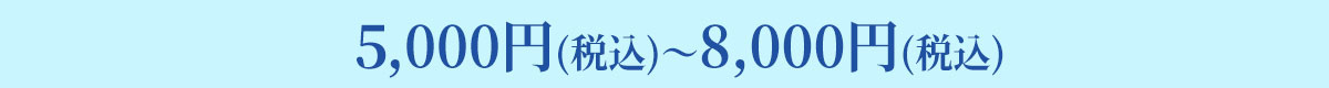 5,000円(税込)から8,000円(税込)