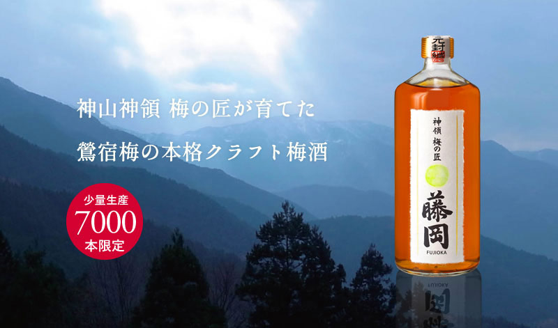 長期熟成梅酒 神領 梅の匠 藤岡 720ml