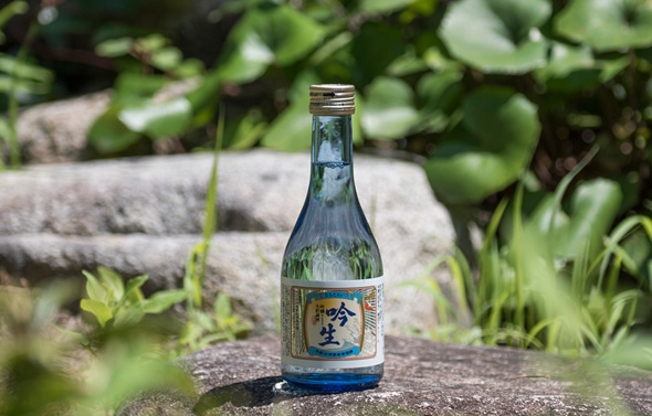 鳴門鯛 吟醸生貯蔵酒 吟生