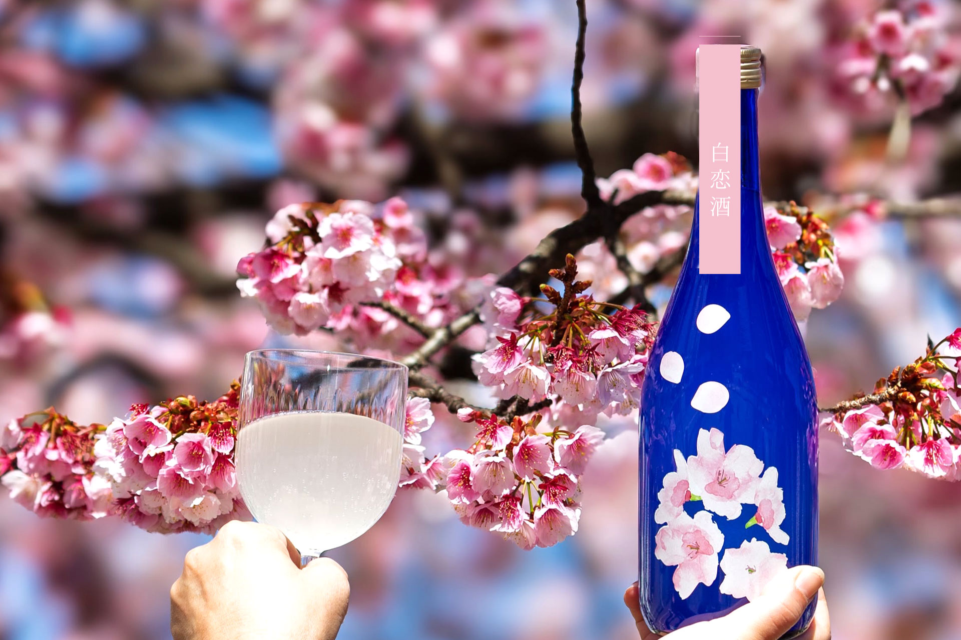 純米吟醸 うすにごり生 白恋酒(はっこいしゅ)【月巡り、酒巡り。】3月限定酒