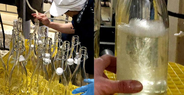鳴門鯛 純米吟醸無濾過生原酒 超直汲み