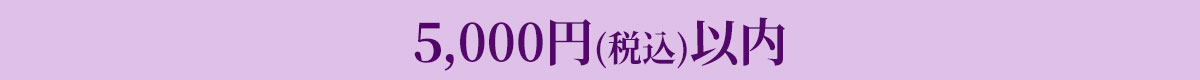 5,000円(税込)以内