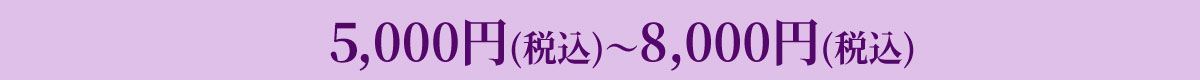 5,000円(税込)から8,000円(税込)