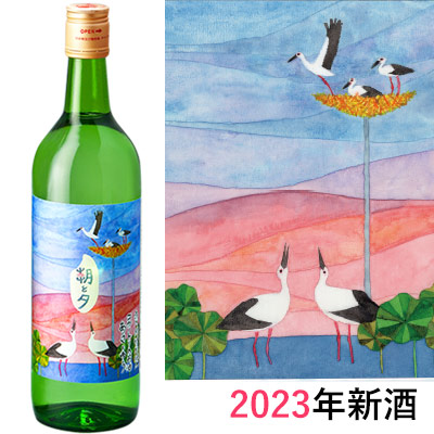 鳴門鯛 特別純米 コウノトリの酒 朝と夕 飲みくらべセット