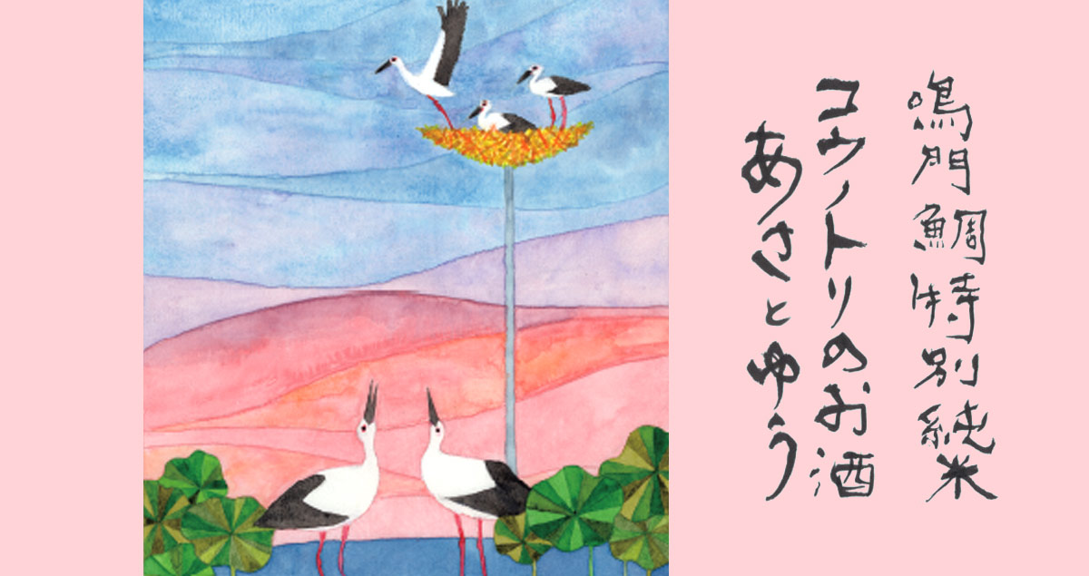 鳴門鯛 特別純米 コウノトリの酒 朝と夕 720ml【2023年新酒