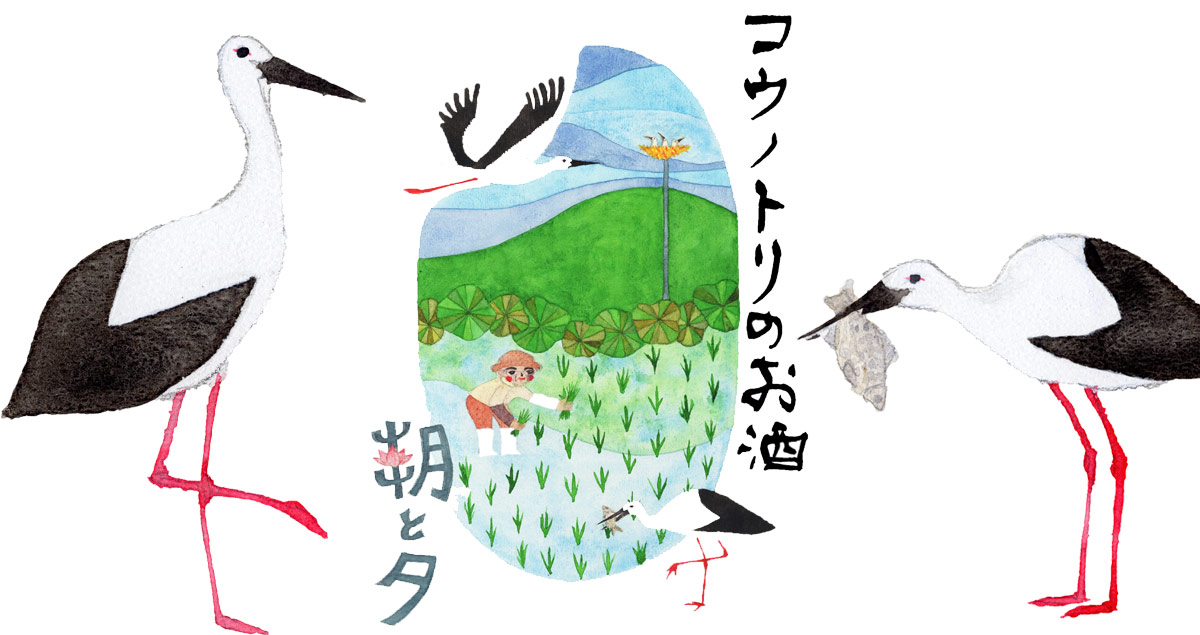 鳴門鯛 特別純米 コウノトリの酒 朝と夕 720ml【2023年新酒】