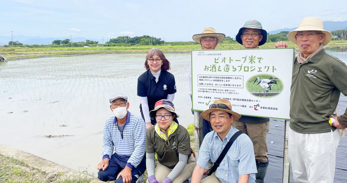 鳴門鯛 特別純米 コウノトリの酒 朝と夕 【2024年新酒】