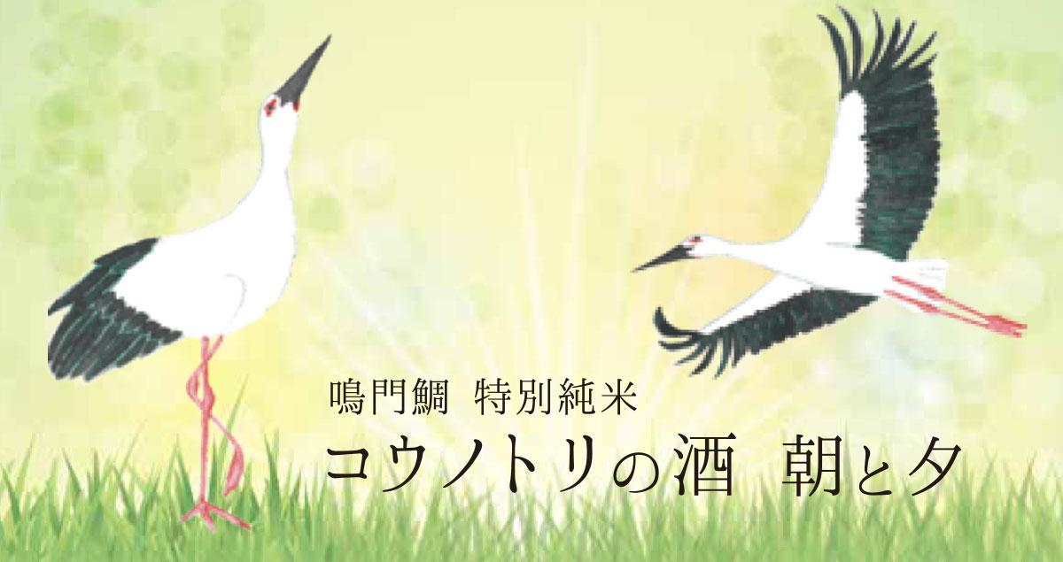 鳴門鯛 特別純米 コウノトリの酒 朝と夕