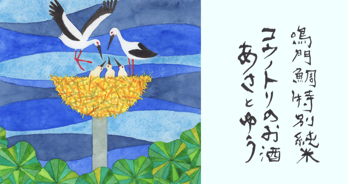 鳴門鯛 特別純米 コウノトリの酒 朝と夕