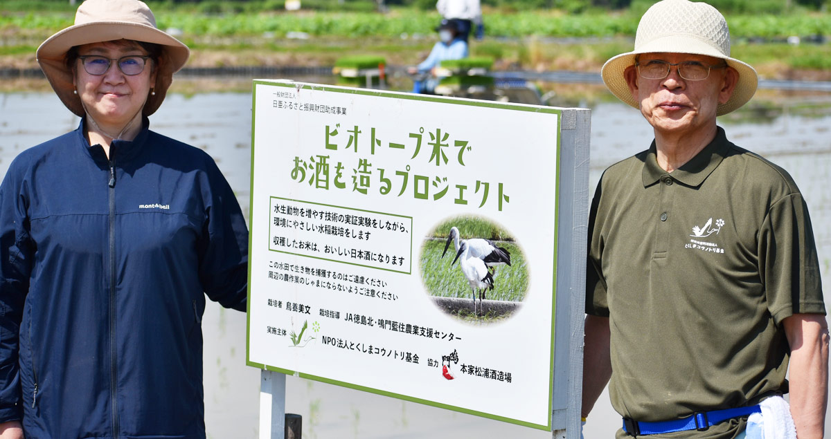 鳴⾨鯛 特別純⽶ コウノトリの酒 朝と