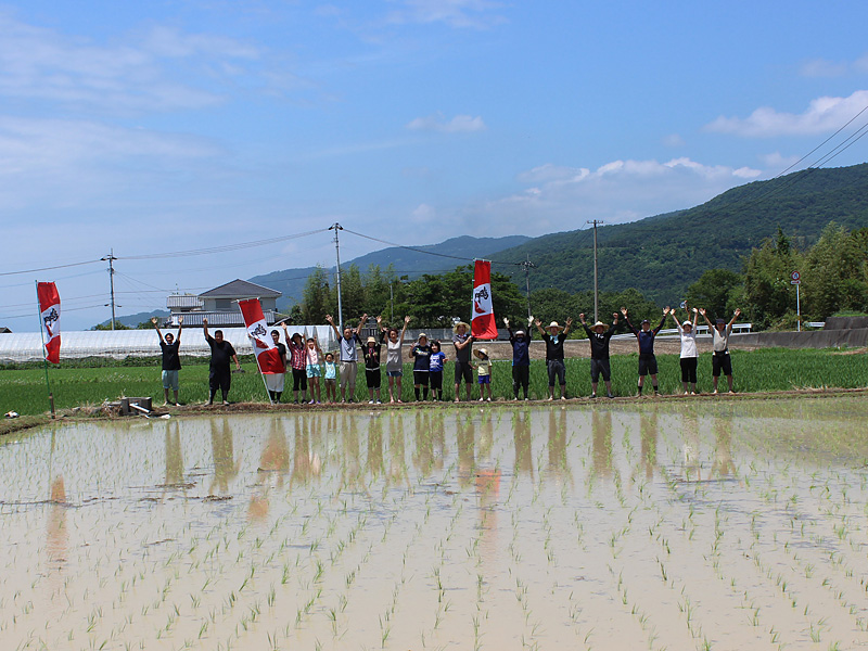 あわいちば山田錦
