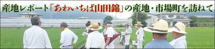 産地レポート
