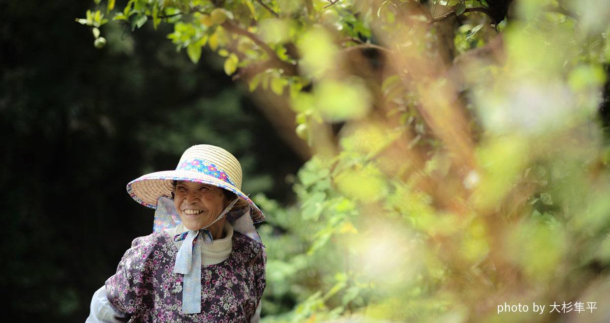 四国で一番小さな町 幻の果実 ゆこうのお酒